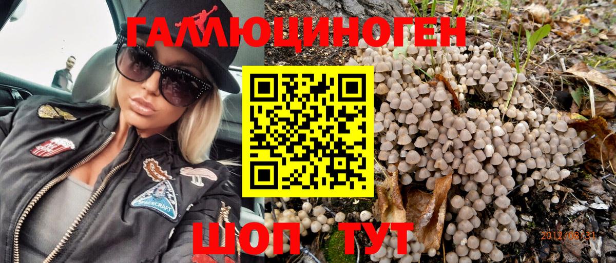 Кудымкар  Псилоцибиновые грибы GOLDEN TEACHER  Псилоцибиновые грибы MAGIC MUSHROOMS  Вход с VPN 