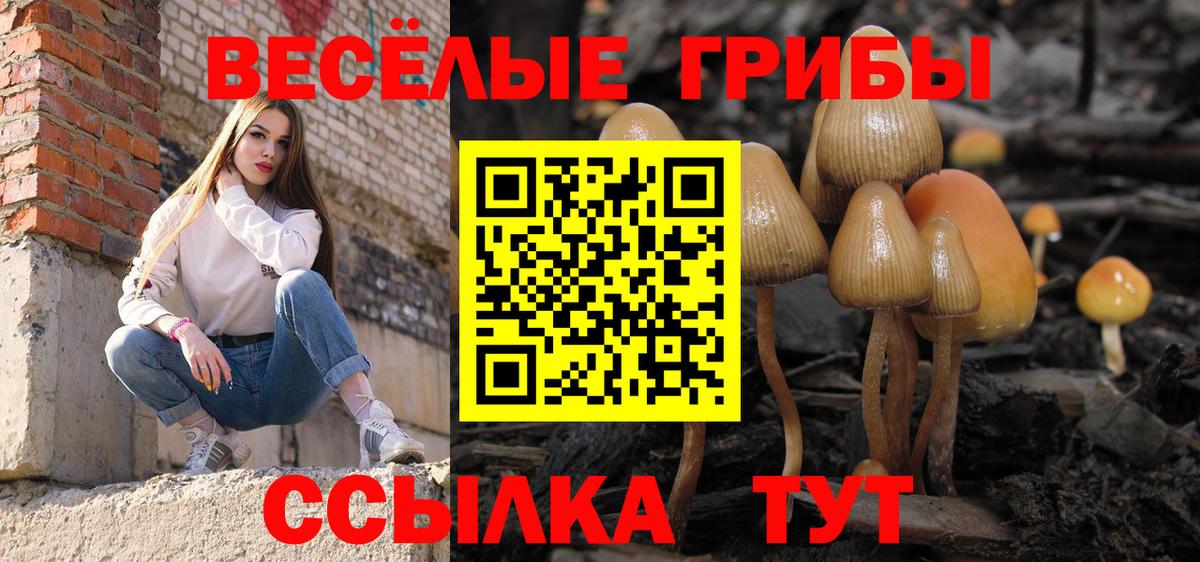 Псилоцибиновые грибы GOLDEN TEACHER Кудымкар